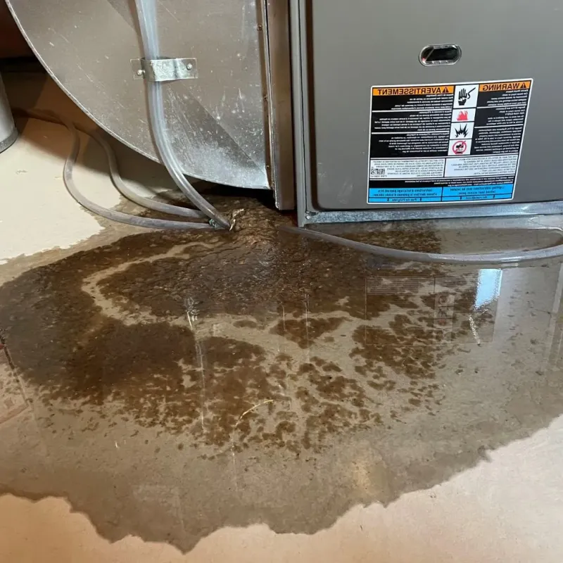 Pipe Burst and Leak Restoration in Ross, OH